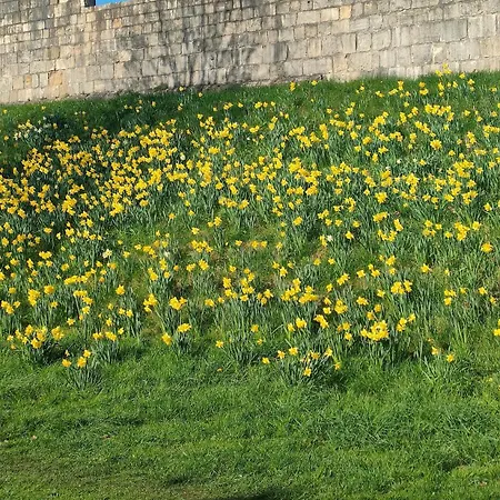 Casa vacanze Victorian Farrar