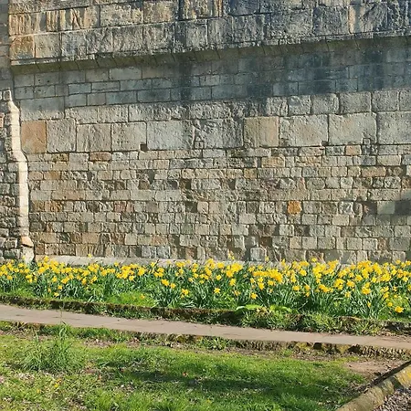 Victorian Farrar Casa vacanze *