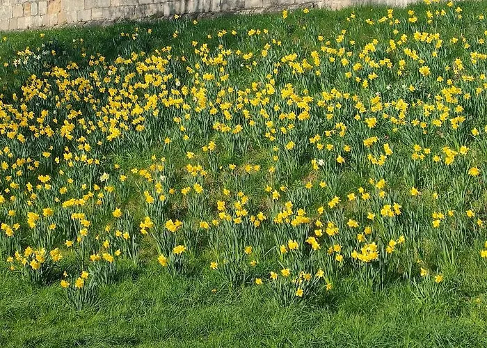 Casa vacanze Victorian Farrar