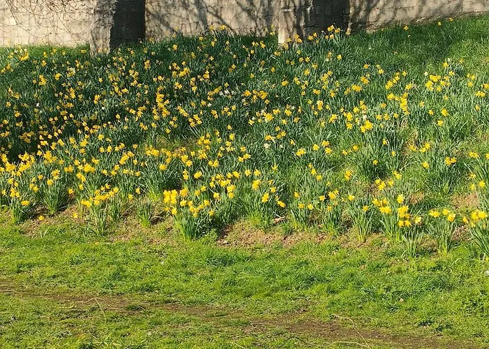 Victorian Farrar Casa vacanze York